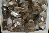 Lot: Lbs Smoky Quartz Crystals (-) - Brazil #77825-2